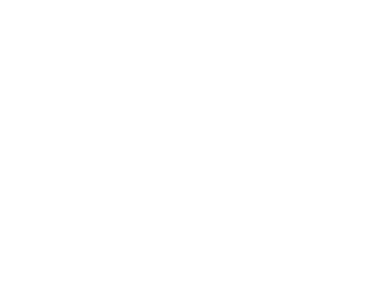 D-Source Logo